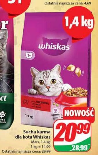 Dino Karma dla kota z wołowiną whiskas oferta