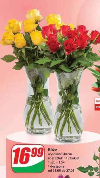 Dino Róże 40 cm oferta