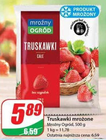 Dino Truskawki mroźny ogród oferta
