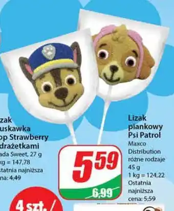 Dino Lizak piankowy psi patrol maxco oferta