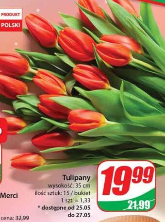 Dino Tulipany 35 cm oferta