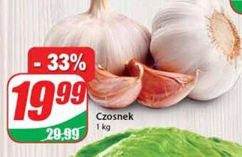 Dino Czosnek oferta