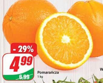 Dino Pomarańcze oferta