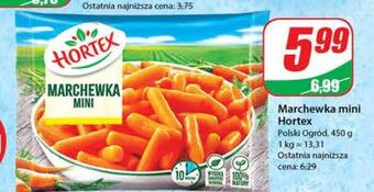 Dino Marchewka mini hortex oferta