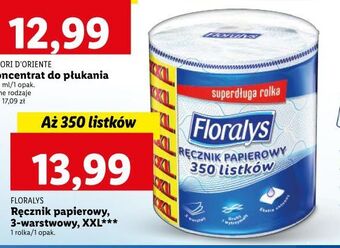 Lidl Ręcznik kuchenny xxl floralys oferta