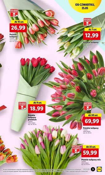 Lidl Tulipany 35 cm oferta
