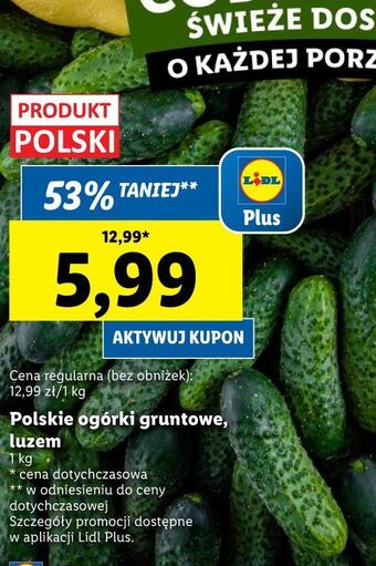 Lidl Ogórki gruntowe oferta