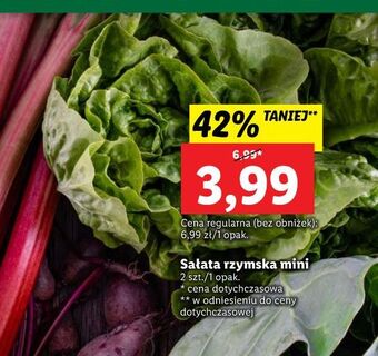 Lidl Sałata rzymska mini oferta