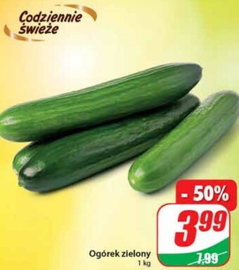 Dino Ogórek oferta