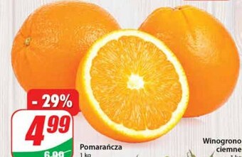 Dino Pomarańcza oferta