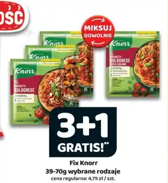 Delfin Knorr Fix 39-70g oferta