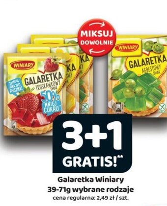 Delfin Galaretka Winiary 39-71g oferta