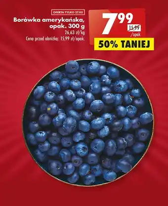 Biedronka Borówka amerykańska opak. 300g oferta