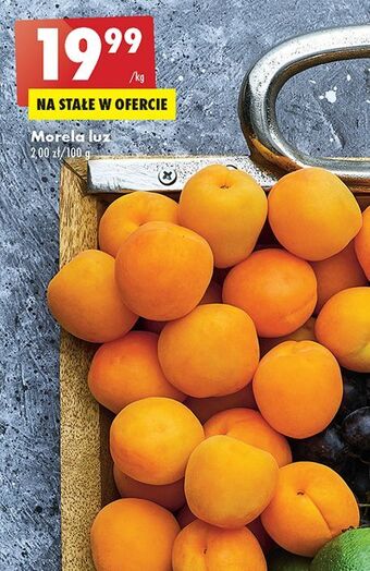 Biedronka Morele oferta