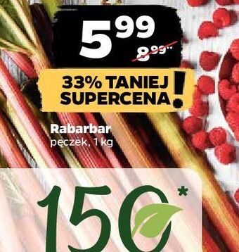 Netto Rabarbar oferta