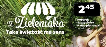 Netto Natka pietruszki oferta