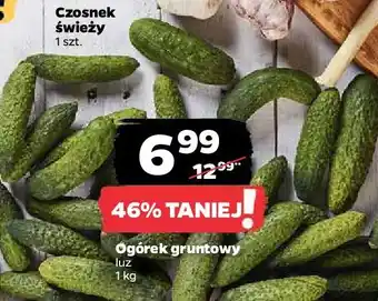 Netto Ogórki gruntowe oferta