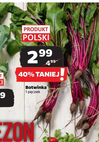 Netto Botwinka oferta