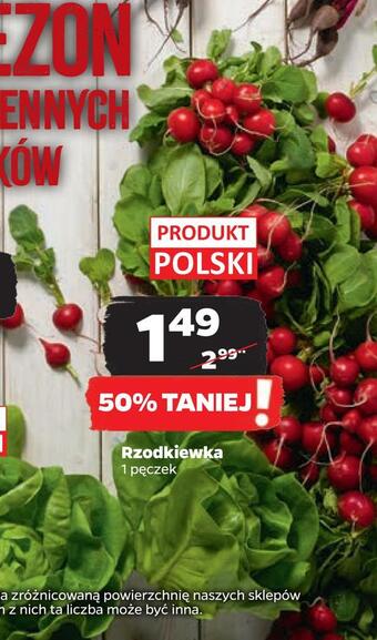 Netto Rzodkiewka oferta