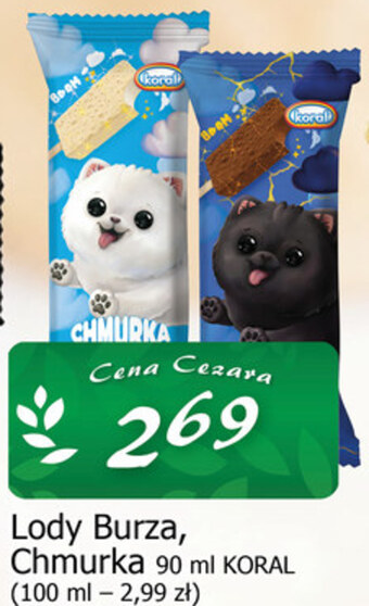 Cezar Delikatesy Lody koral oferta
