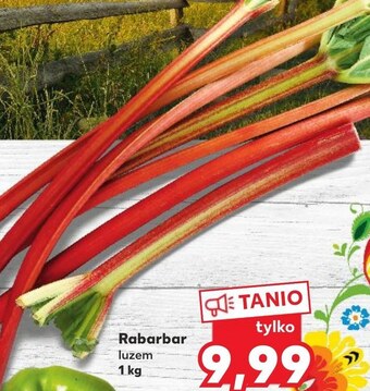 Kaufland Rabarbar oferta