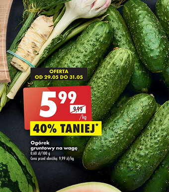Biedronka Ogórek gruntowy 1kg oferta