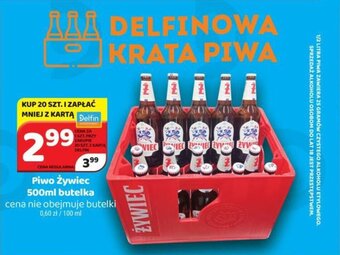 Delfin Piwo Żywiec 500ml oferta
