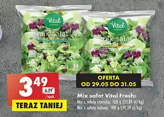 Biedronka Mix sałat Vital Fresh 160-180g oferta