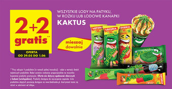 Biedronka WSZYSTKIE LODY NA PATYKU, W ROŻKU LUB LODOWE KANAPKI KAKTUS oferta