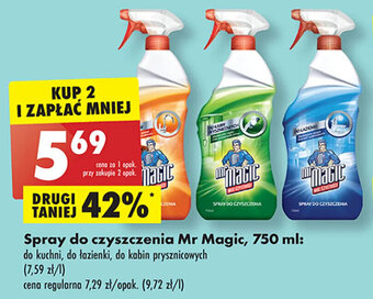 Biedronka Spray do czyszczenia Mr Magic, 750 ml oferta
