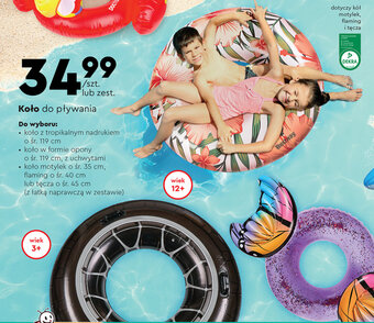 Biedronka Koło do pływania oferta