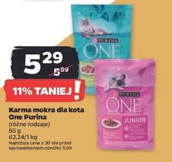 Netto Karma dla kota purina one oferta