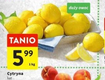 Intermarche Cytryna luz 1kg oferta