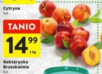 Intermarche Nektarynka Brzoskwinia 1kg oferta