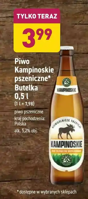 ALDI Piwo Kampinoskie pszeniczne Butelka oferta