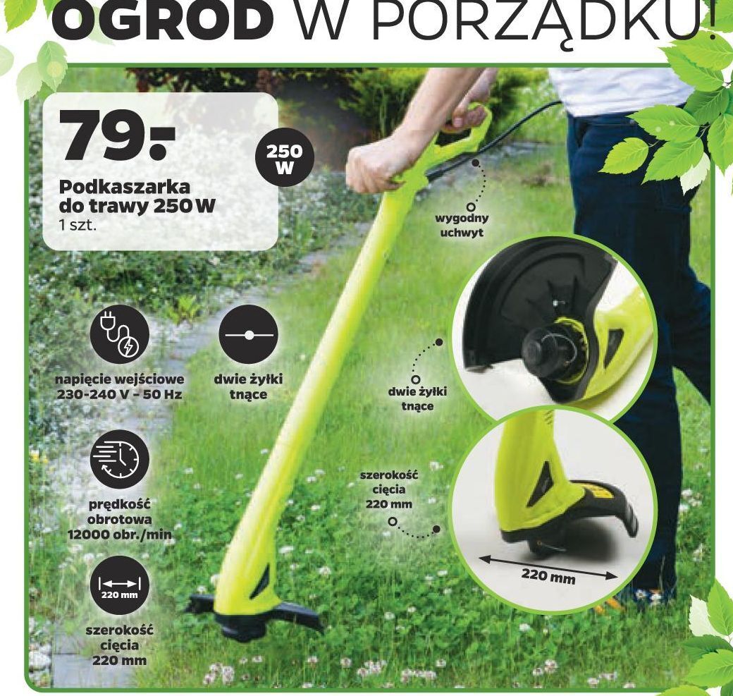 Netto Podkaszarka 250 w oferta