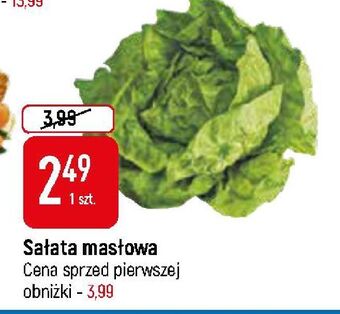 E.Leclerc Sałata masłowa oferta