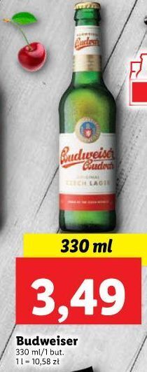Lidl Piwo budweiser oferta