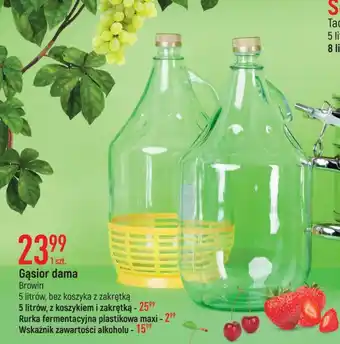 E.Leclerc Wskaźnik zawartości alkoholu z termometrem browin oferta