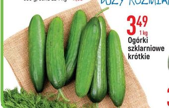 E.Leclerc Ogórki szklarniowe oferta