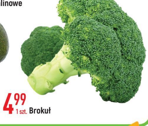 E.Leclerc Brokuł oferta