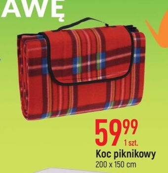 Koc piknikowy