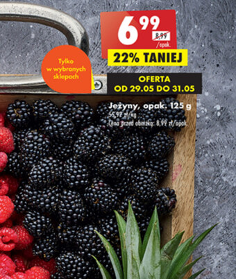Biedronka Jeżyny oferta