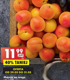 Biedronka Morele oferta