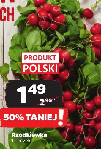 Netto Rzodkiewki oferta