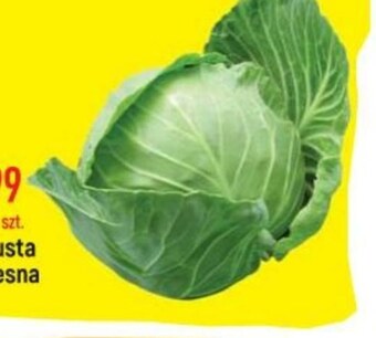 E.Leclerc Kapusta młoda oferta