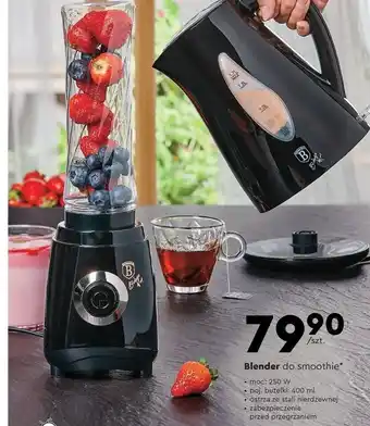 Biedronka Blender kielichowy 250 w berlinger haus oferta