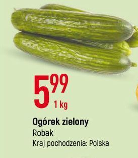 E.Leclerc Ogórek zielony oferta