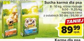 Carrefour Karma dla psa active friskies vitafit oferta