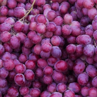 ALDI Winogrona ciemne oferta